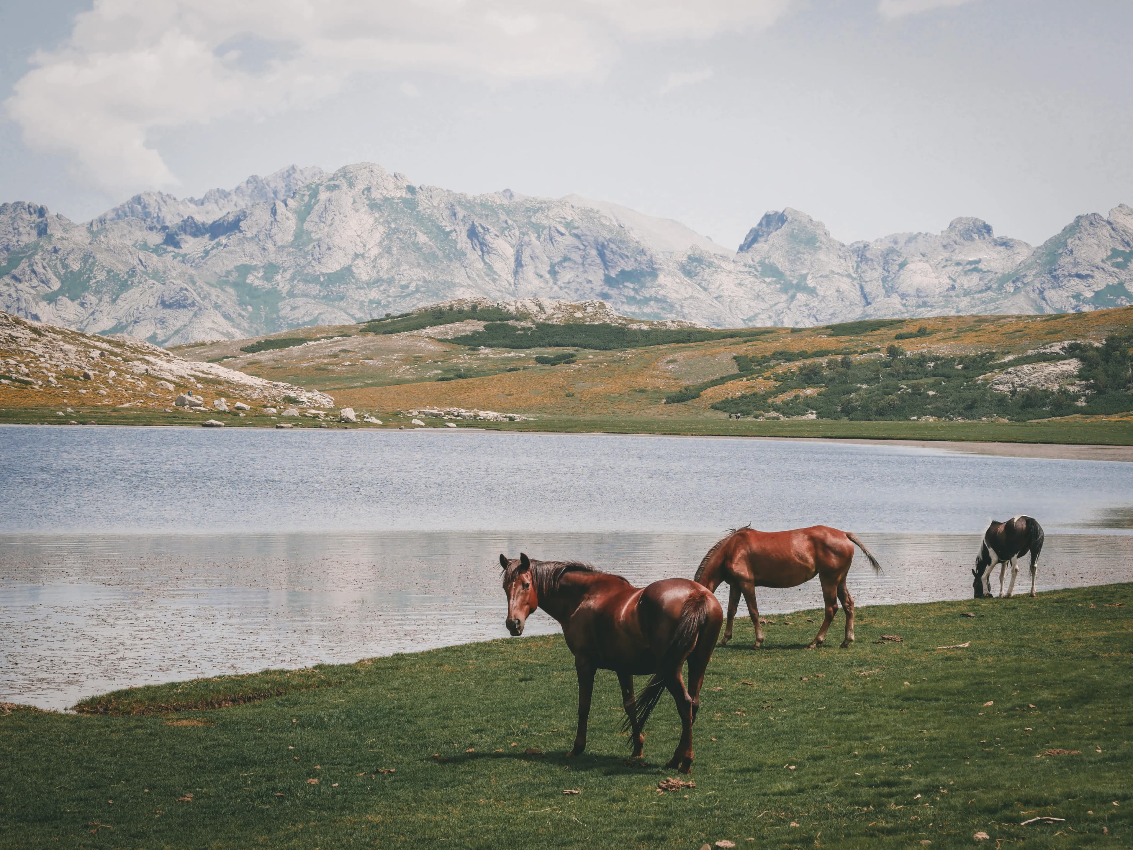 Cosa visitare una settimana in Corsica