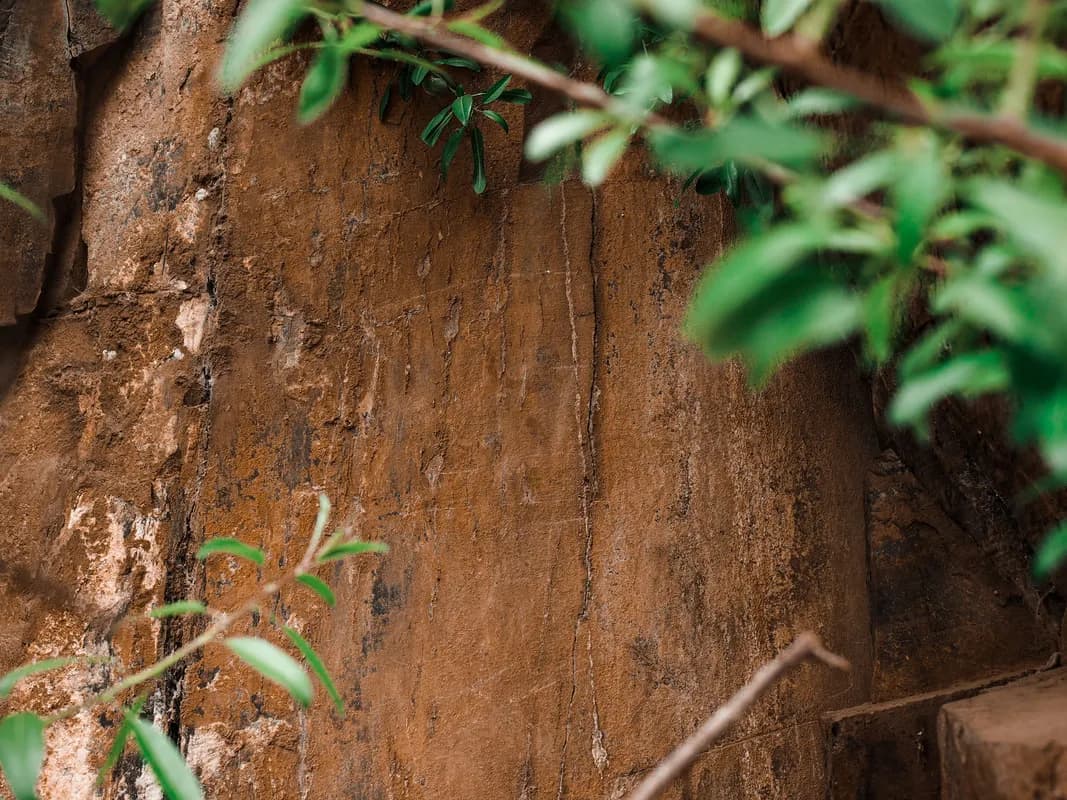 Il parco archeologico di Vila Nova De Foz Coa: guida