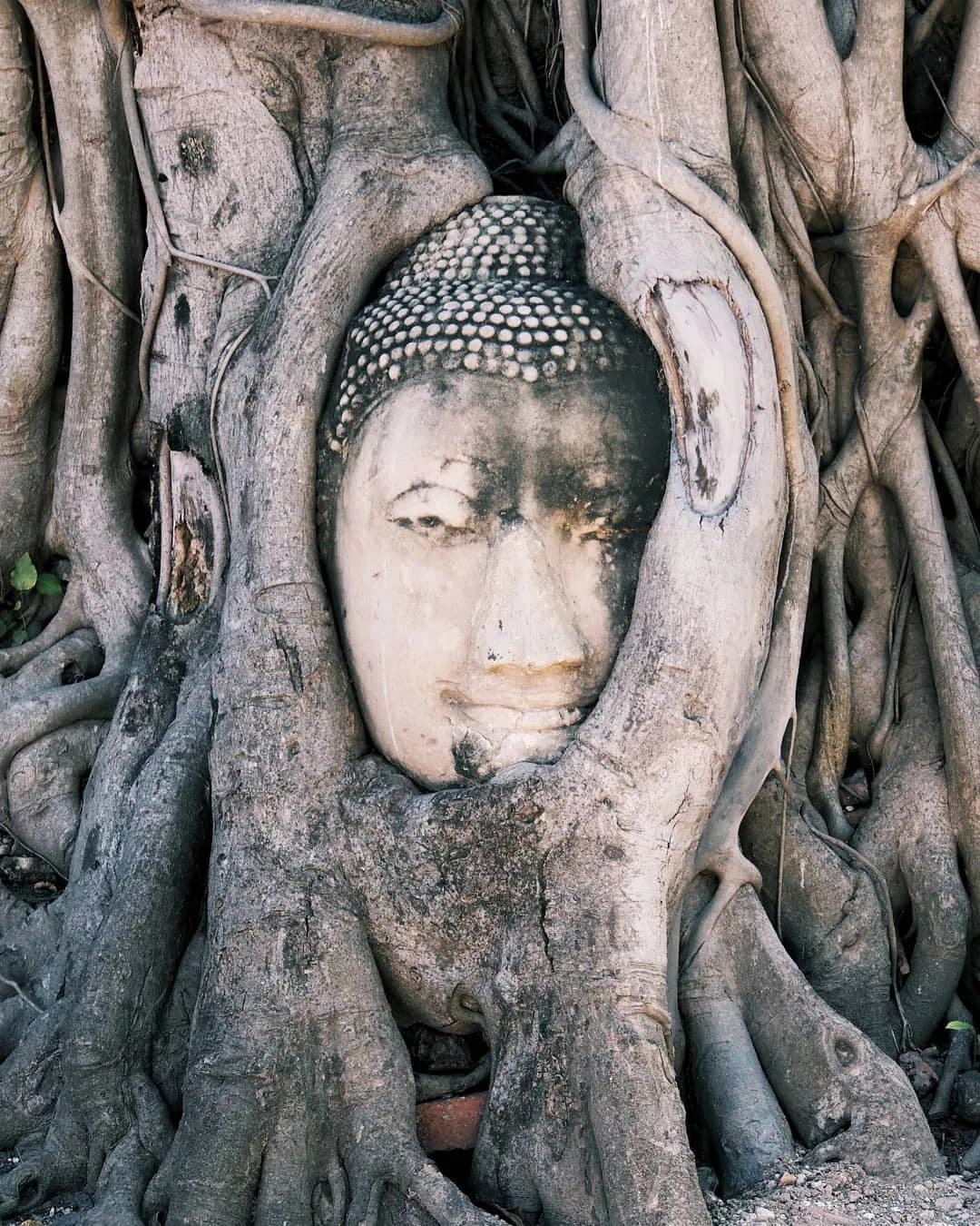 Un mese in Thailandia guida completa