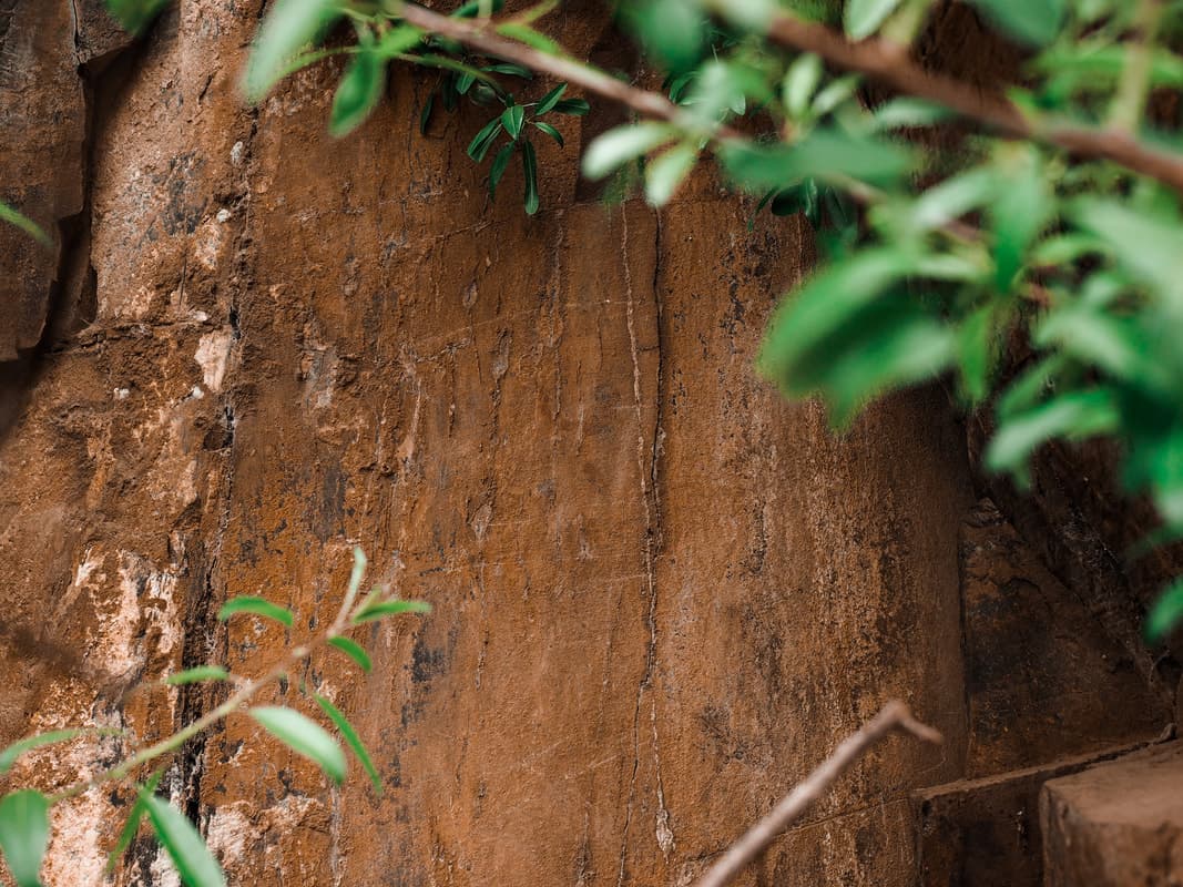 Il parco archeologico di Vila Nova De Foz Coa: guida