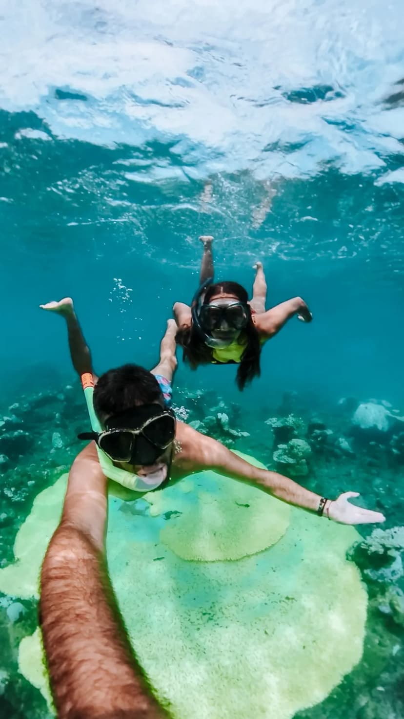 1769705042271-WhatsApp_Image_2026-01-29_at_17.43.14