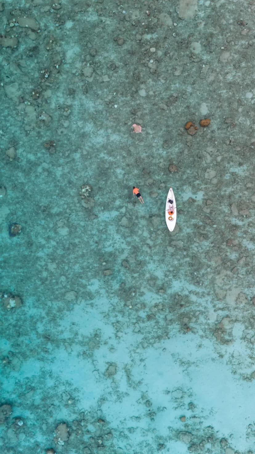 1769705053655-WhatsApp_Image_2026-01-29_at_17.43.16__1_