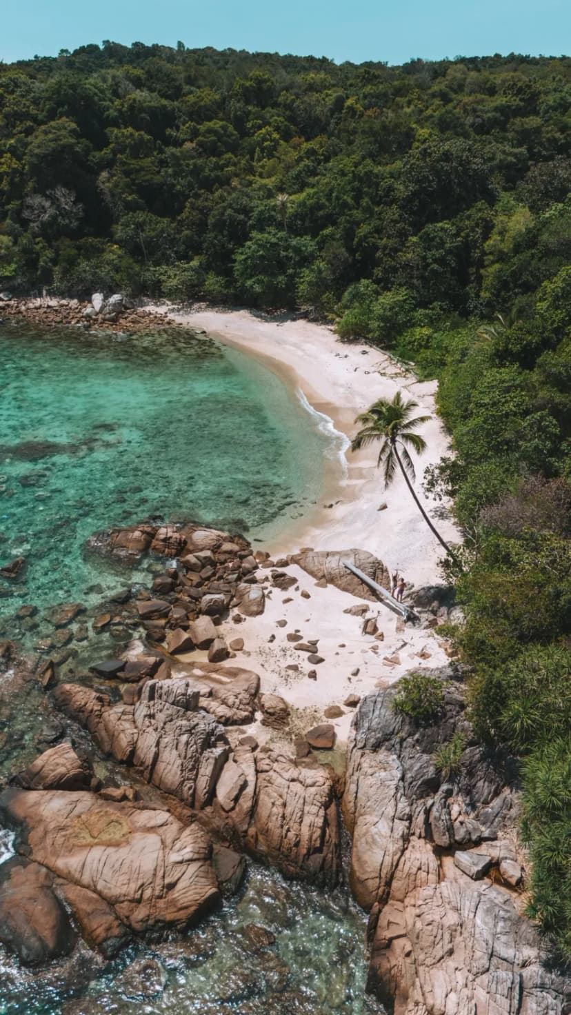 1769703708298-WhatsApp_Image_2026-01-29_at_17.19.23__3_