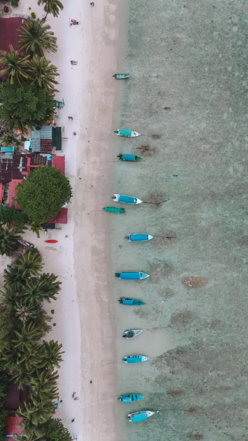 1769704408368-WhatsApp_Image_2026-01-29_at_17.19.24