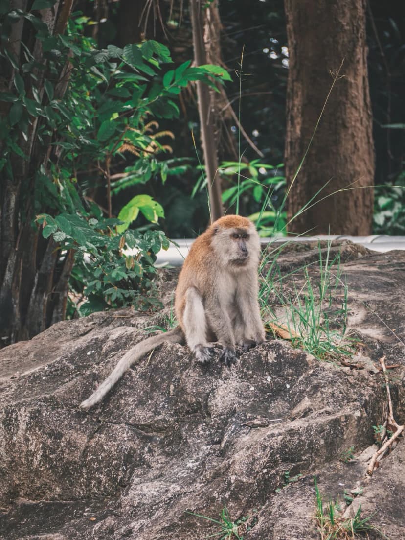 1769705668565-WhatsApp_Image_2026-01-29_at_17.53.44