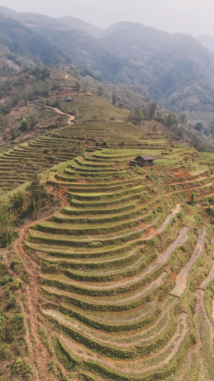 1775054574799-WhatsApp_Image_2026-04-01_at_16.41.07__2_