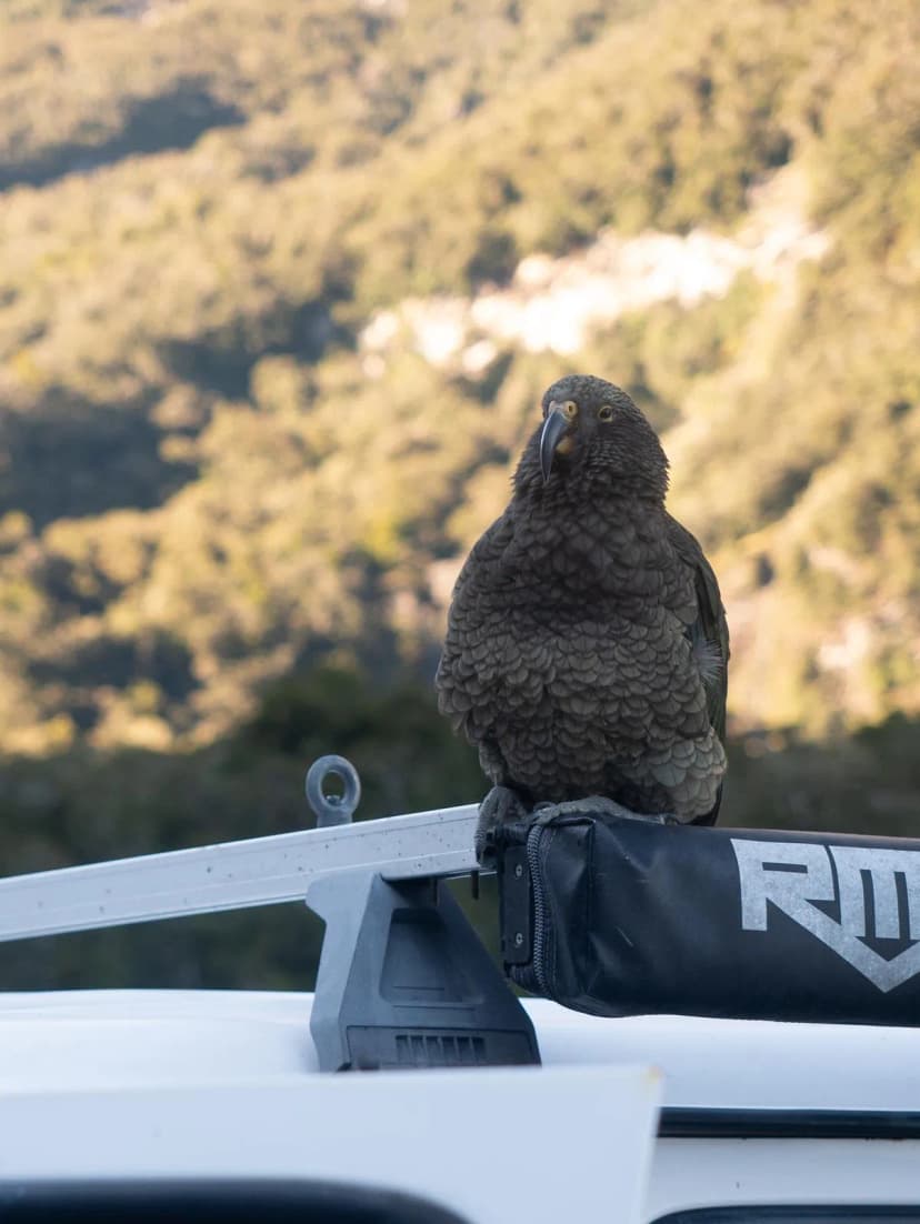 1771004208942-WhatsApp_Image_2026-02-13_at_15.02.06__2_