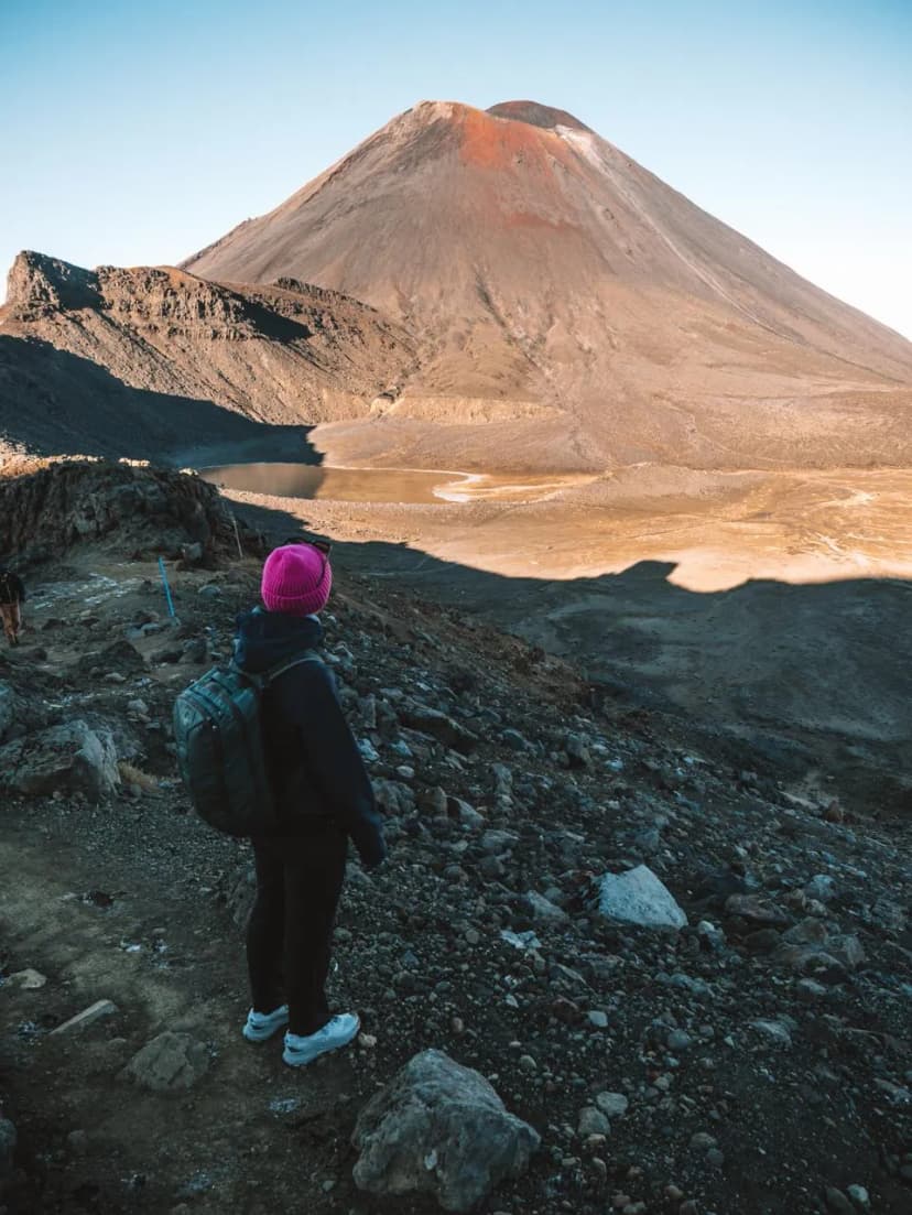 1772380226878-WhatsApp_Image_2026-03-01_at_16.45.57__7_