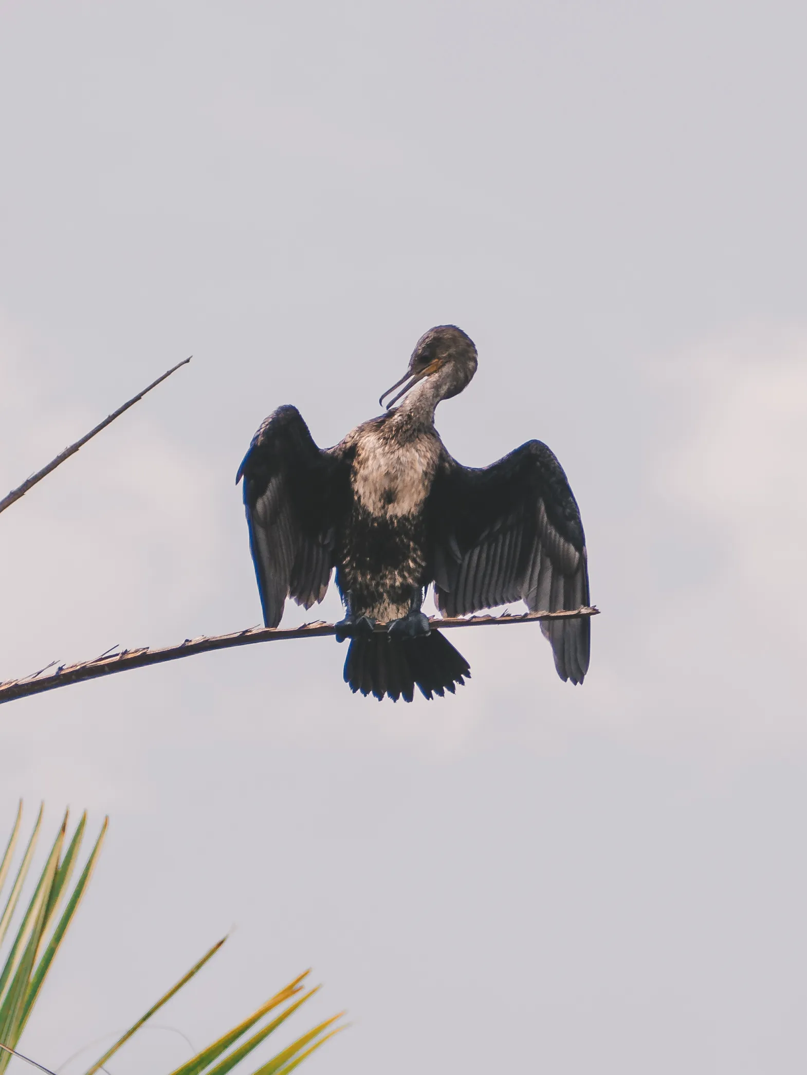 Immagine carosello senza testo alternativo